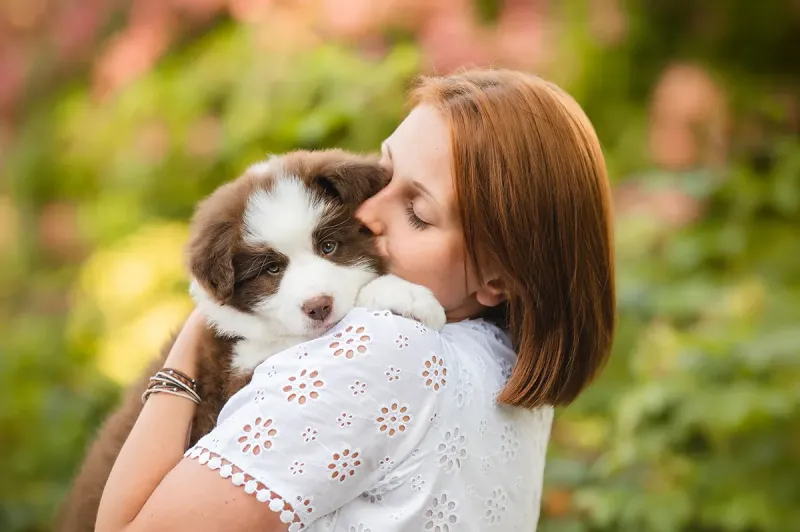 Happy puppy with owner