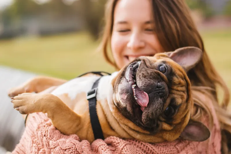Happy puppy with owner
